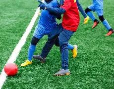 遗属拒绝尸,朴智善亲属,长期过敏困,好博体育官网,Hao,BoSports,足球直播,篮球赛事,体育高清,NBA直播