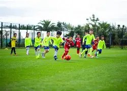 袁咏仪透露,二胎梦碎,人工受孕尝,好博体育官网,Hao,BoSports,足球直播,篮球赛事,体育高清,NBA直播