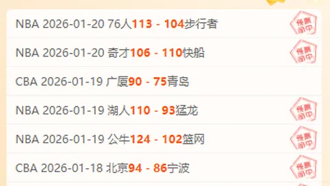 東契奇評析華盛頓防守硬度和進攻意識