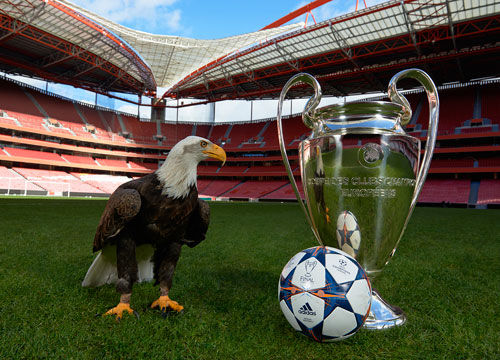 变带来的挑 变带来的挑